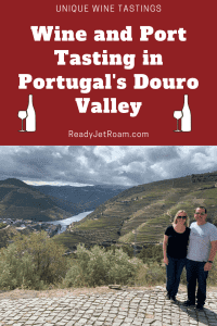 Wine and Port Tasting in Portugal's Douro Valley