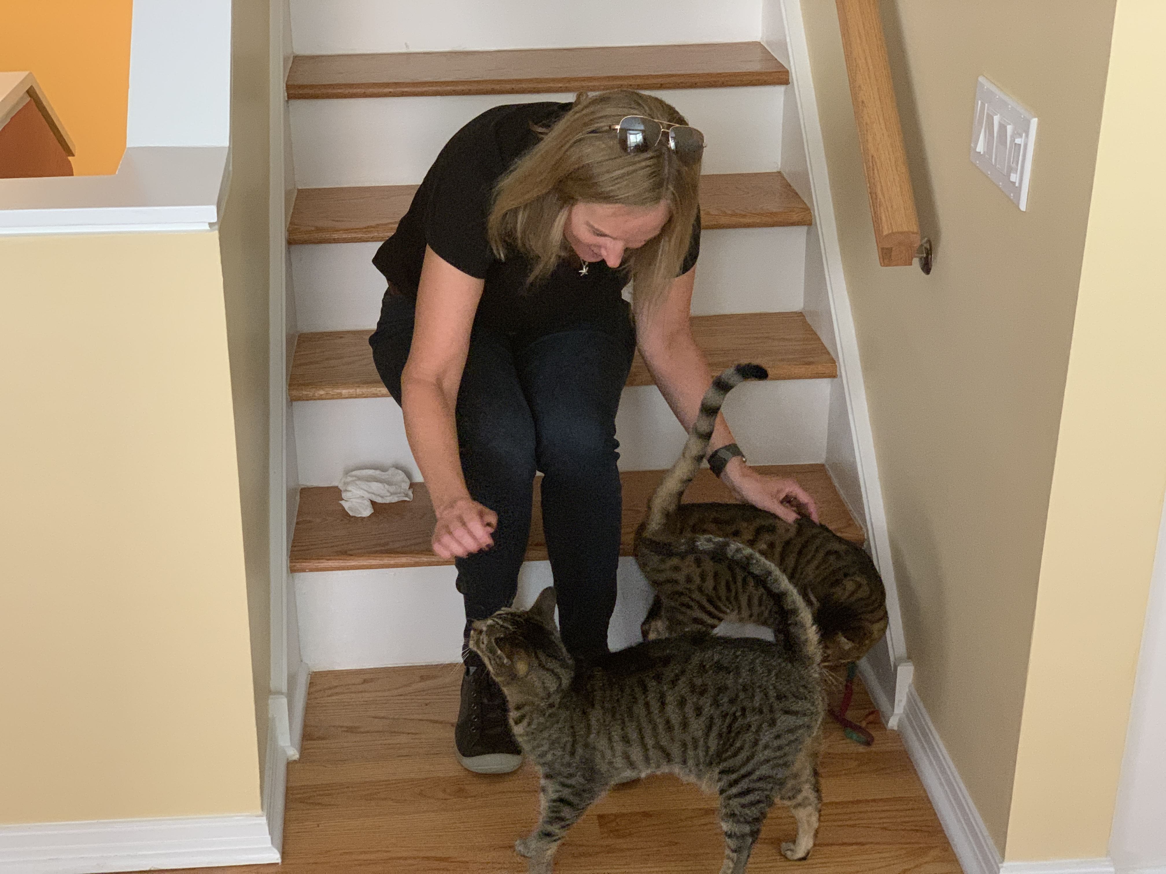 Trusted Housesitters petting the cat