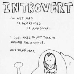 online side hustles for introverts