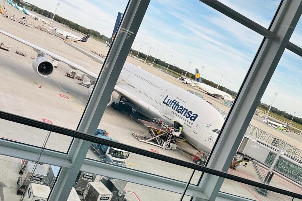 what to do when flight canceled