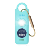 Travel Safety Gear: What's Worth Buying and What Isn't 1 shes birdie personal alarm